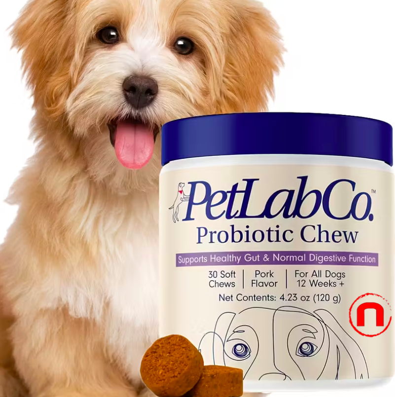 Probiotics for dogs, support for gut health