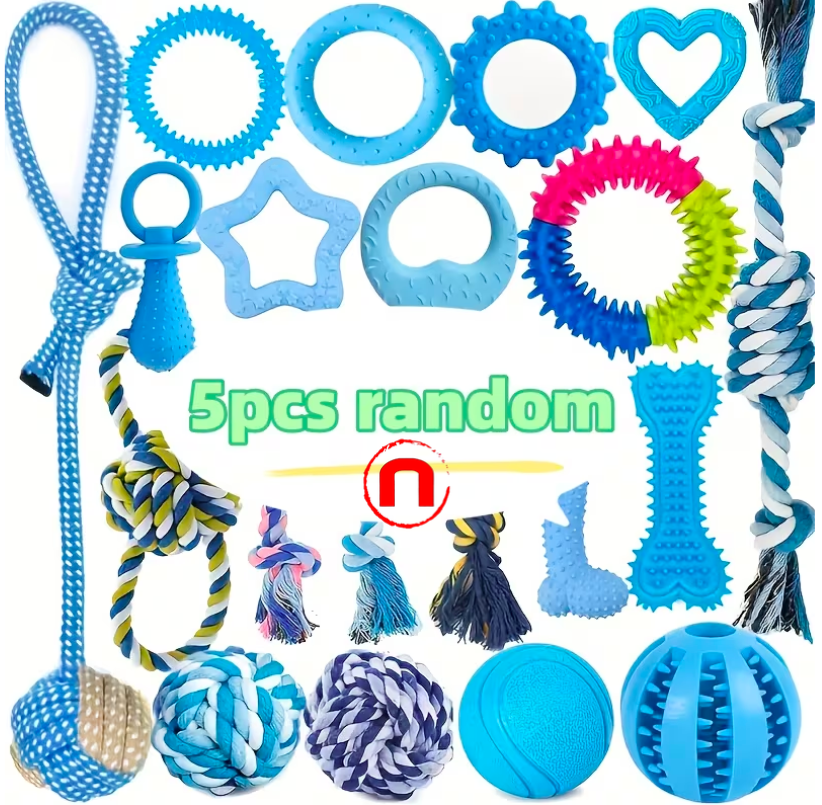 Set of 5 dog chew toys