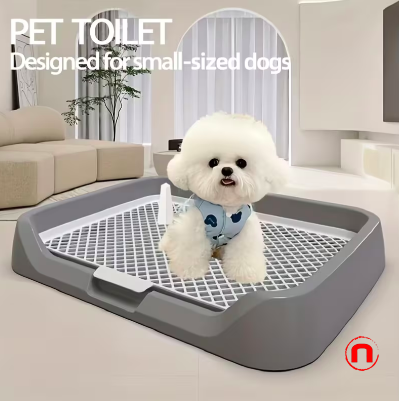 Flat dog toilet